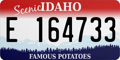 ID license plate E164733