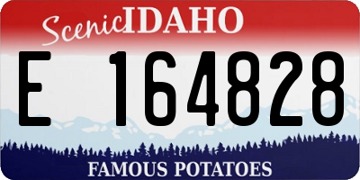 ID license plate E164828