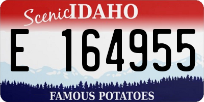 ID license plate E164955