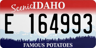 ID license plate E164993