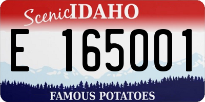 ID license plate E165001
