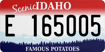 ID license plate E165005