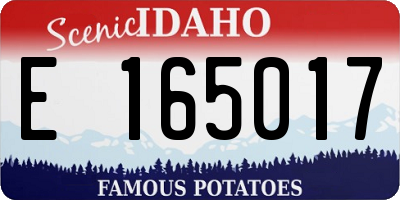 ID license plate E165017