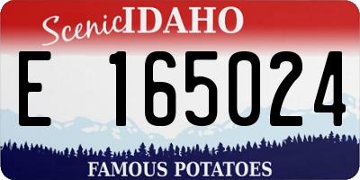 ID license plate E165024