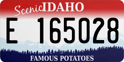 ID license plate E165028