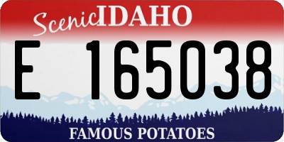 ID license plate E165038