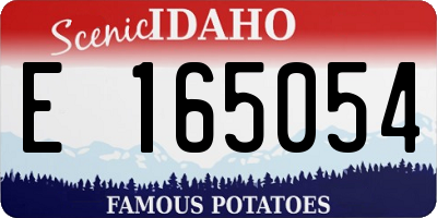 ID license plate E165054