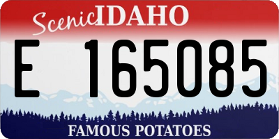 ID license plate E165085