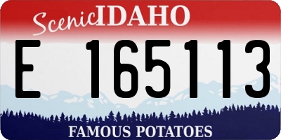ID license plate E165113