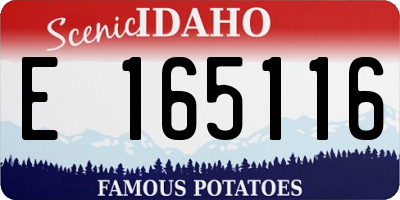 ID license plate E165116