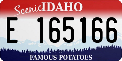 ID license plate E165166
