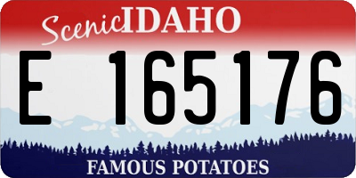 ID license plate E165176