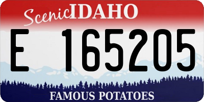 ID license plate E165205