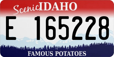 ID license plate E165228