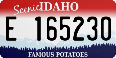 ID license plate E165230
