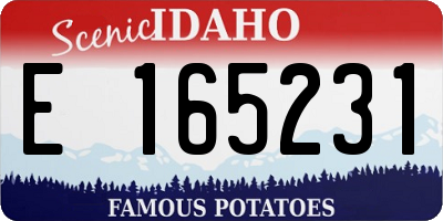 ID license plate E165231