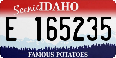 ID license plate E165235