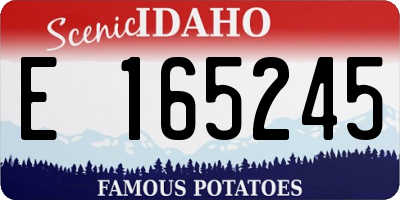 ID license plate E165245