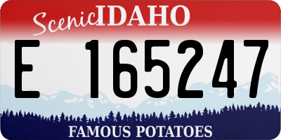 ID license plate E165247