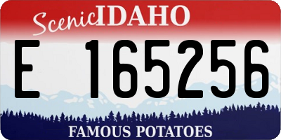ID license plate E165256
