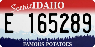 ID license plate E165289