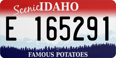 ID license plate E165291