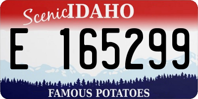 ID license plate E165299