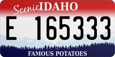 ID license plate E165333