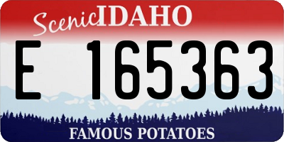 ID license plate E165363