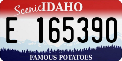 ID license plate E165390