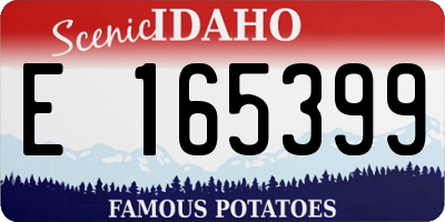 ID license plate E165399