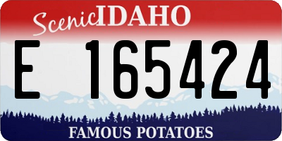 ID license plate E165424