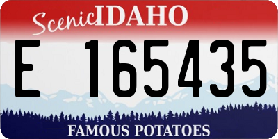 ID license plate E165435