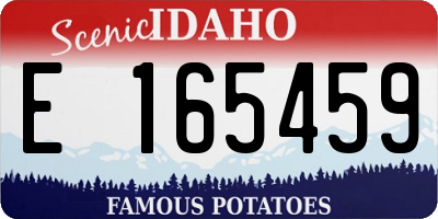 ID license plate E165459
