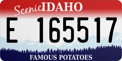 ID license plate E165517