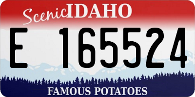 ID license plate E165524