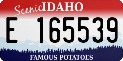 ID license plate E165539