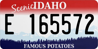 ID license plate E165572