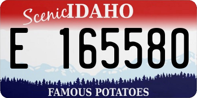 ID license plate E165580