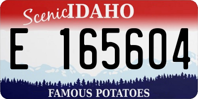 ID license plate E165604