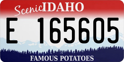 ID license plate E165605