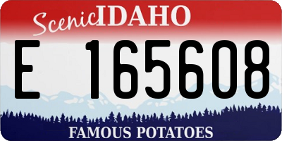 ID license plate E165608