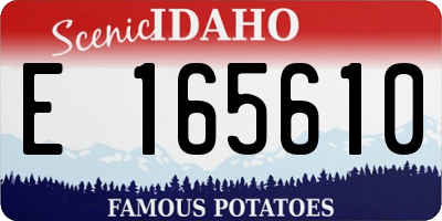 ID license plate E165610