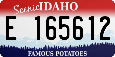 ID license plate E165612