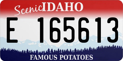 ID license plate E165613
