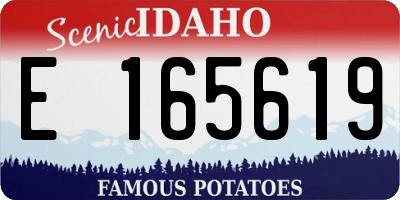 ID license plate E165619
