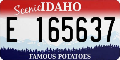 ID license plate E165637