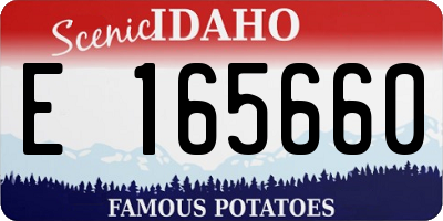 ID license plate E165660