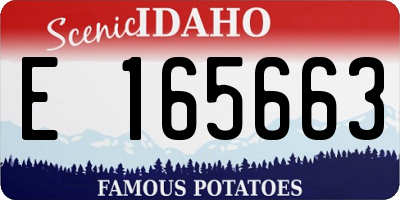 ID license plate E165663