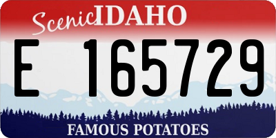 ID license plate E165729